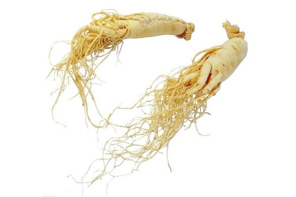 Ginseng root - a folk remedy to increase male potency